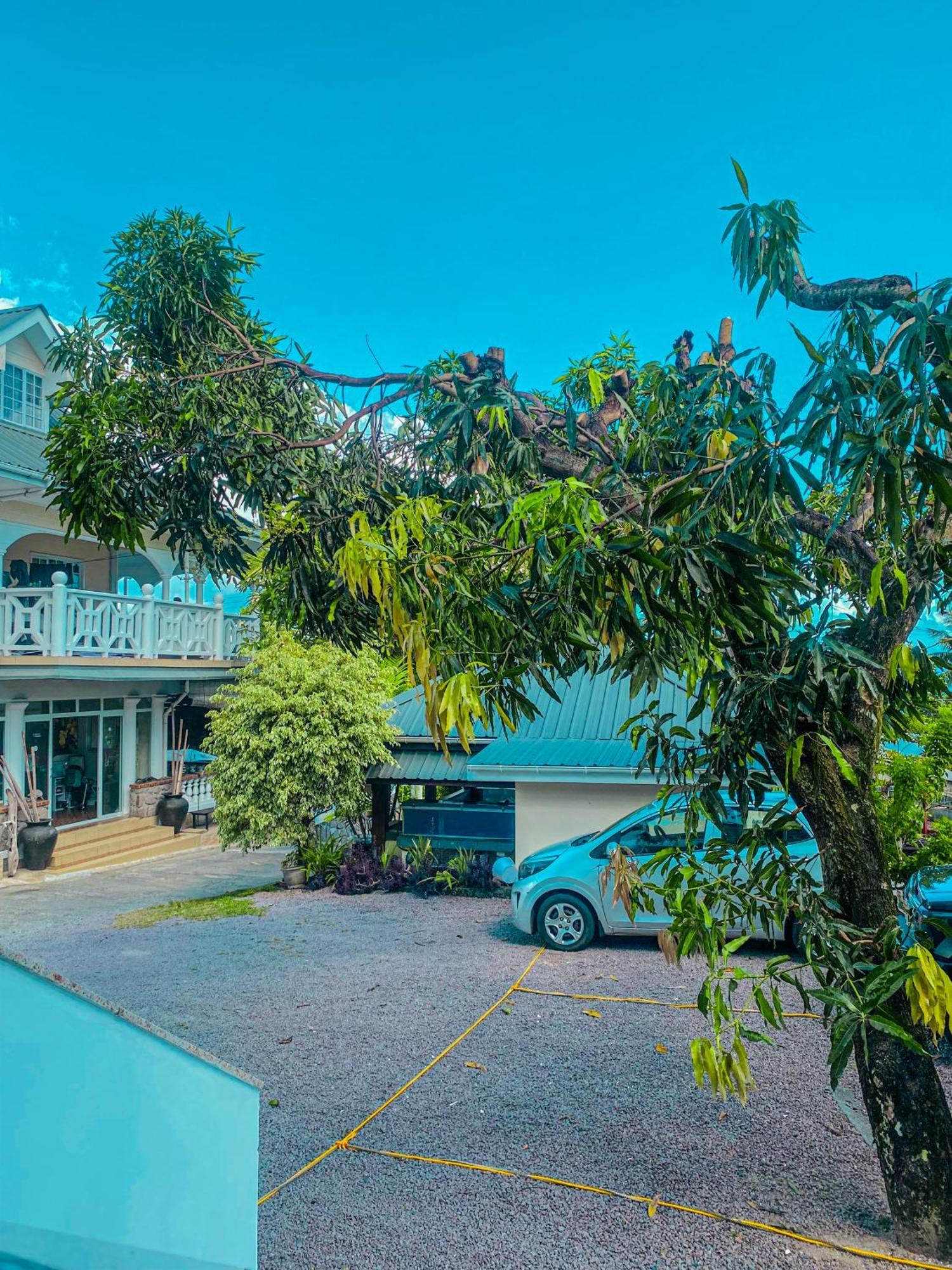 Divers Lodge Guest House Beau Vallon  Eksteriør billede