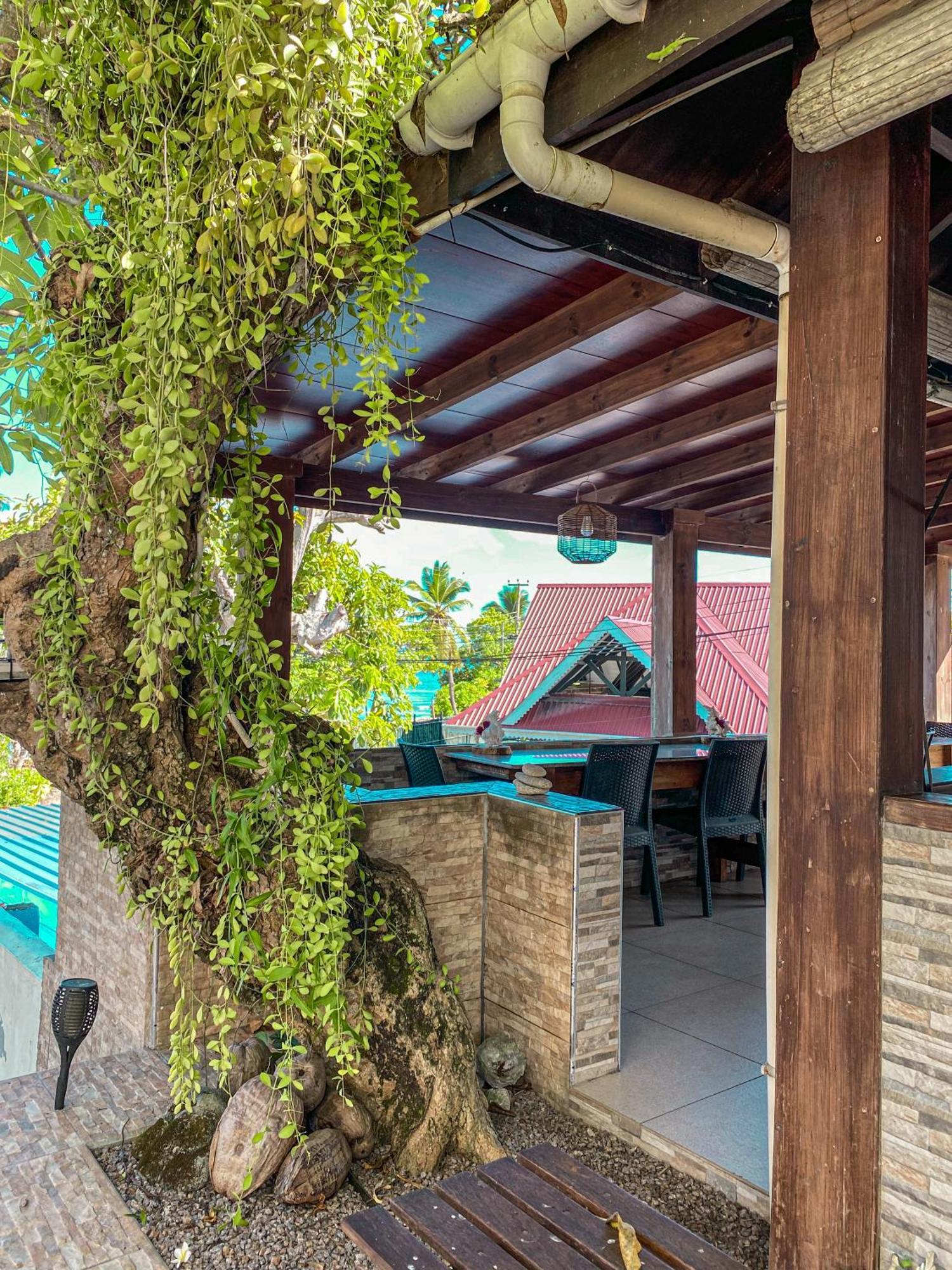 Divers Lodge Guest House Beau Vallon  Eksteriør billede
