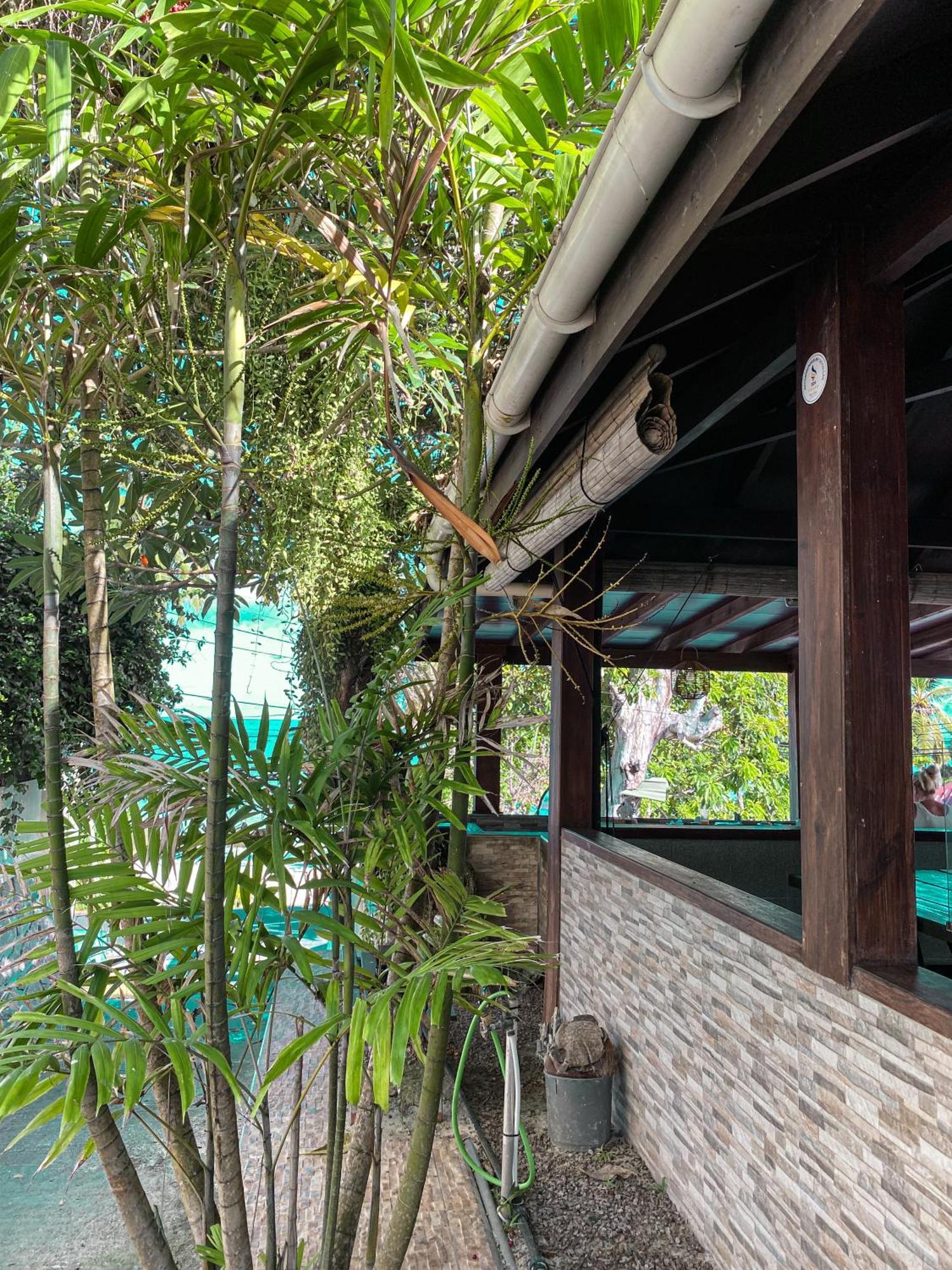 Divers Lodge Guest House Beau Vallon  Eksteriør billede