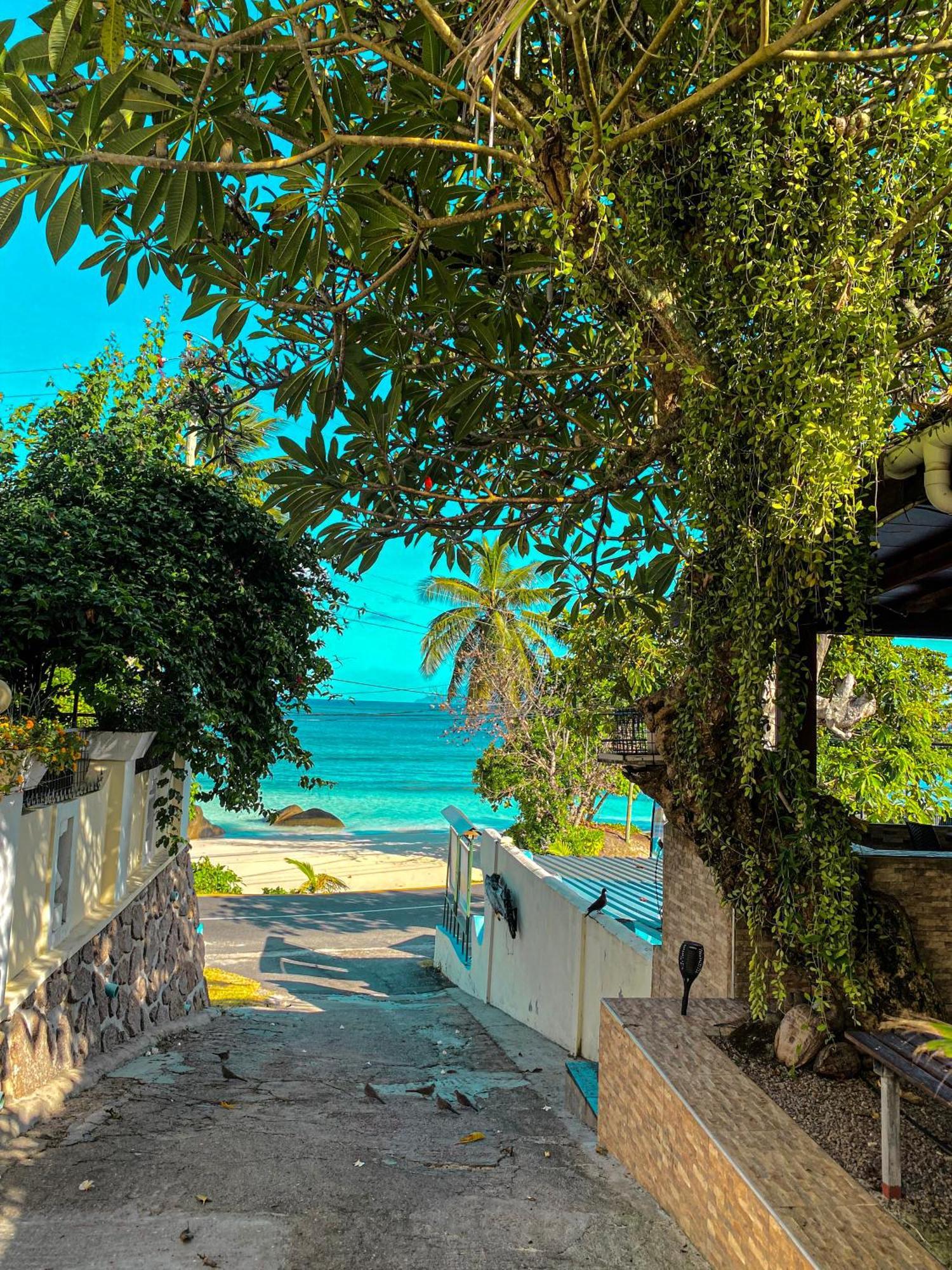 Divers Lodge Guest House Beau Vallon  Eksteriør billede